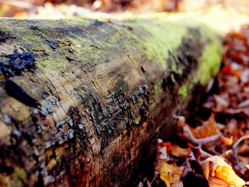 sudoku unique solution screenshot 3