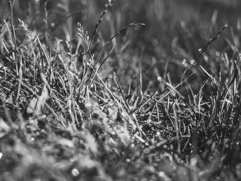 sudoku challenge mode screenshot 2